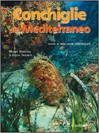 Conchiglie del mediterraneo