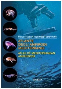 Atlante degli anfipodi mediterranei atlas of mediterranean amphipods