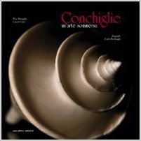 Conchiglie un'arte sommersa