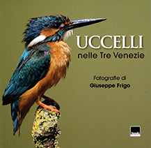 Uccelli nelle tre venezie
