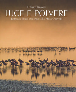 LUCE E POLVERE