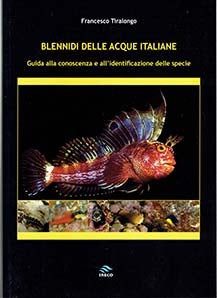 Blennidi delle acque italiane