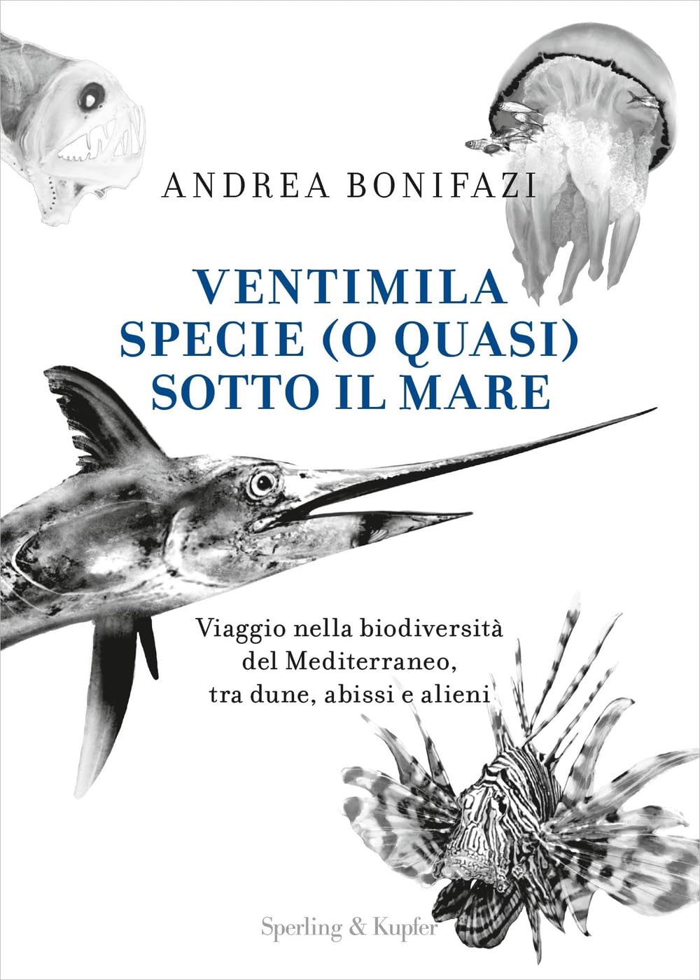Ventimila specie (o quasi) sotto il mare