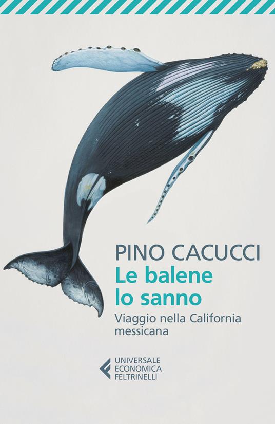 Balene lo sanno