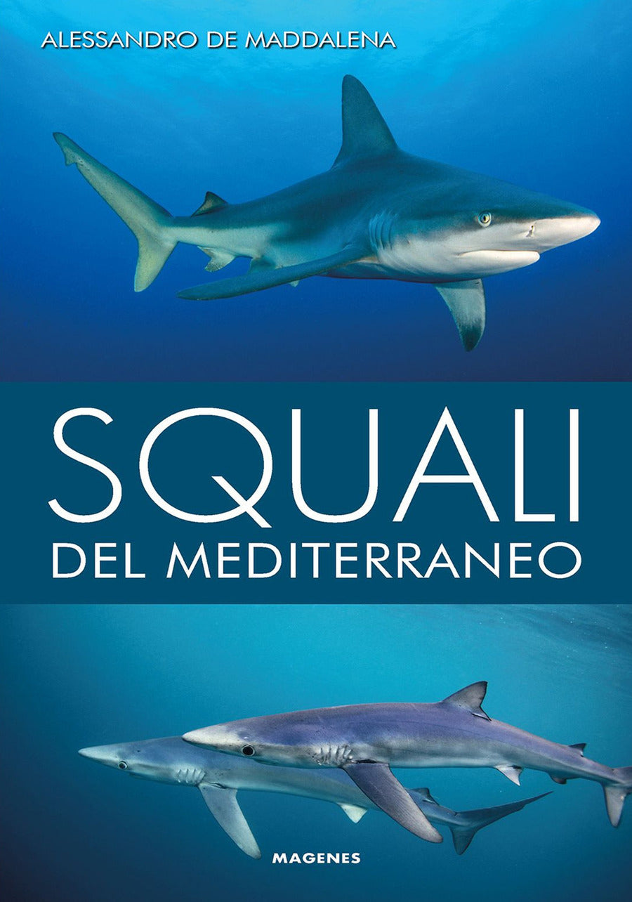 Squali del mediterraneo