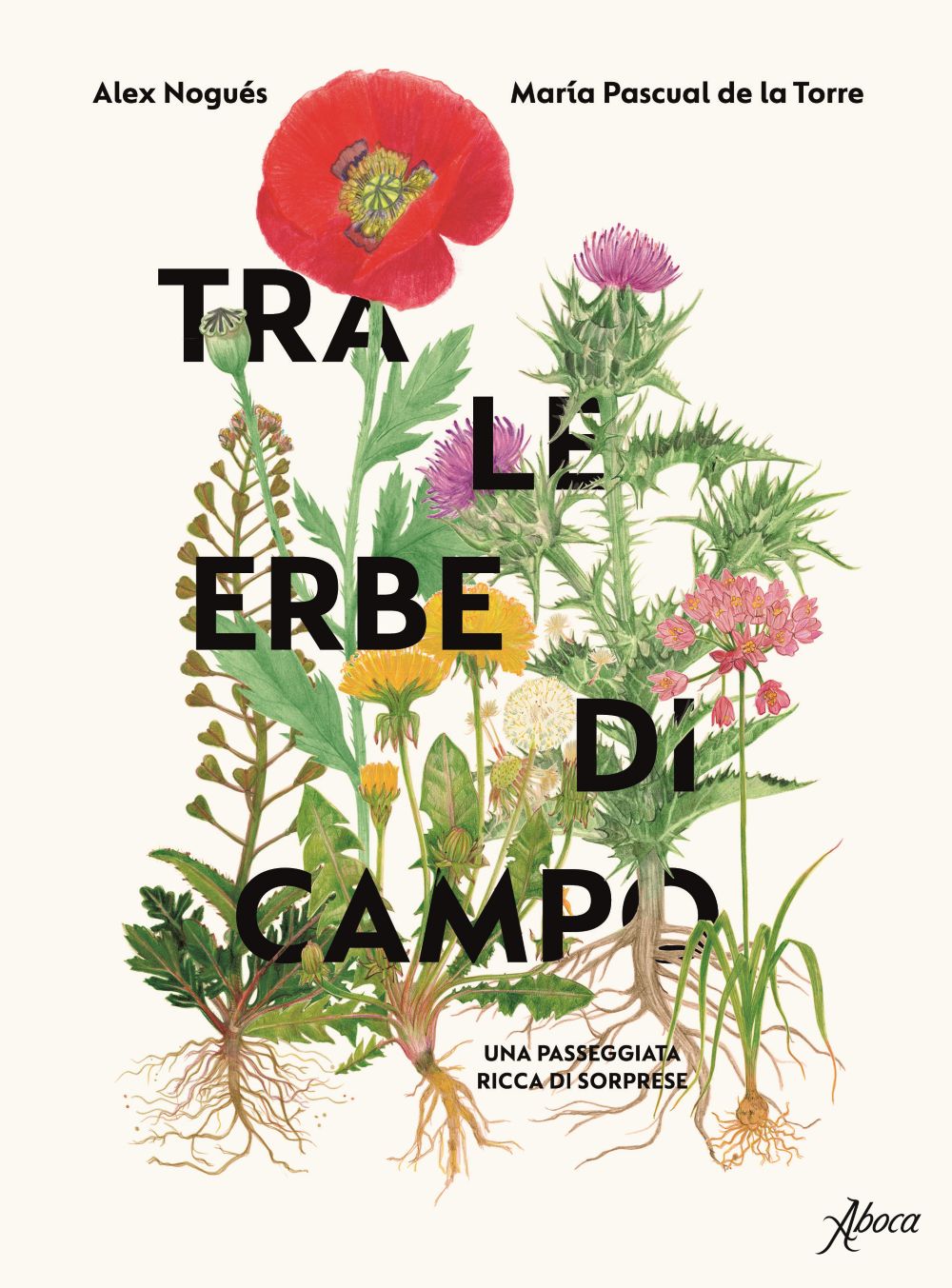 Tra le erbe di campo
