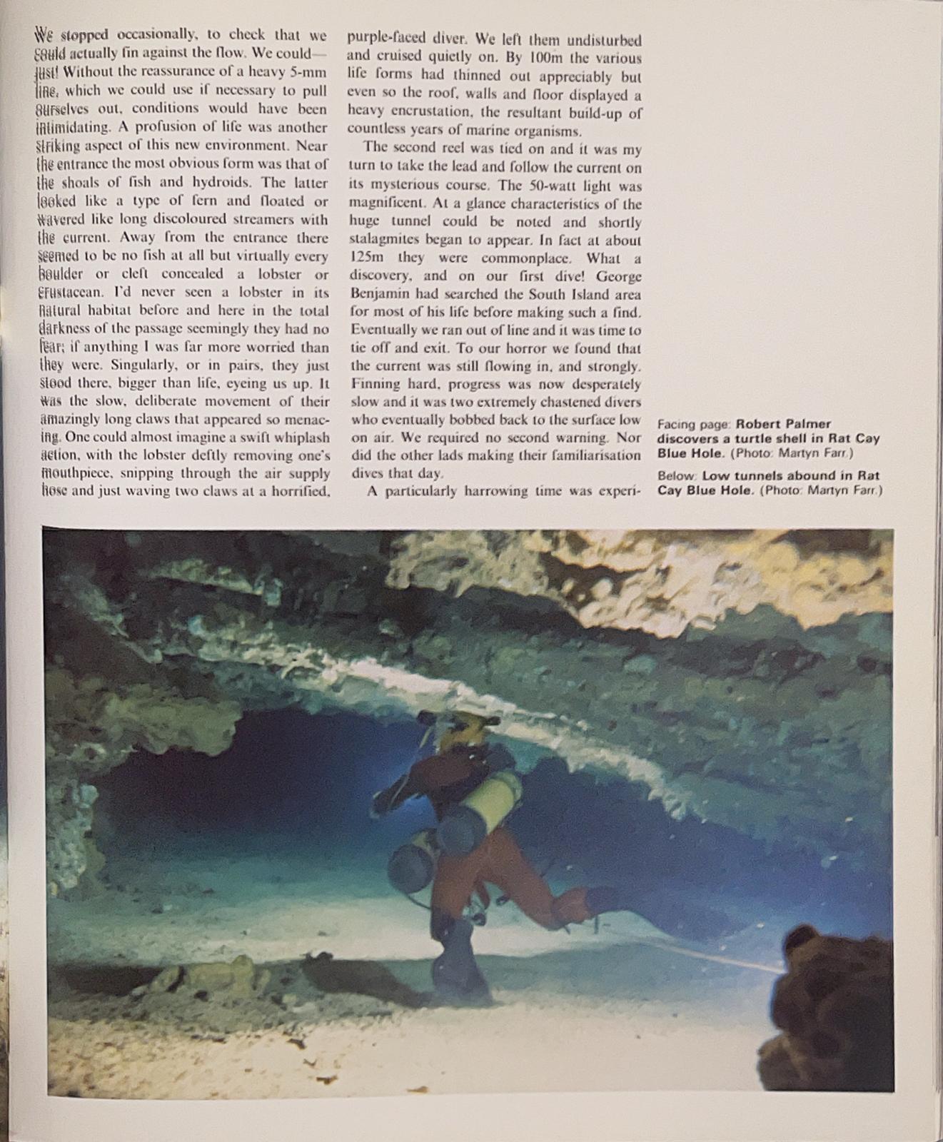 Classic dives of the world