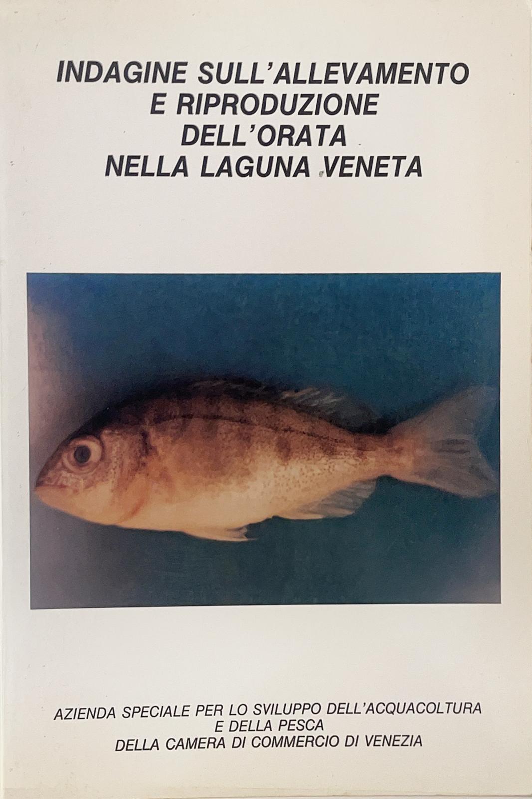 Indagine sull’allevamento e riproduzione dell’orata nella laguna veneta