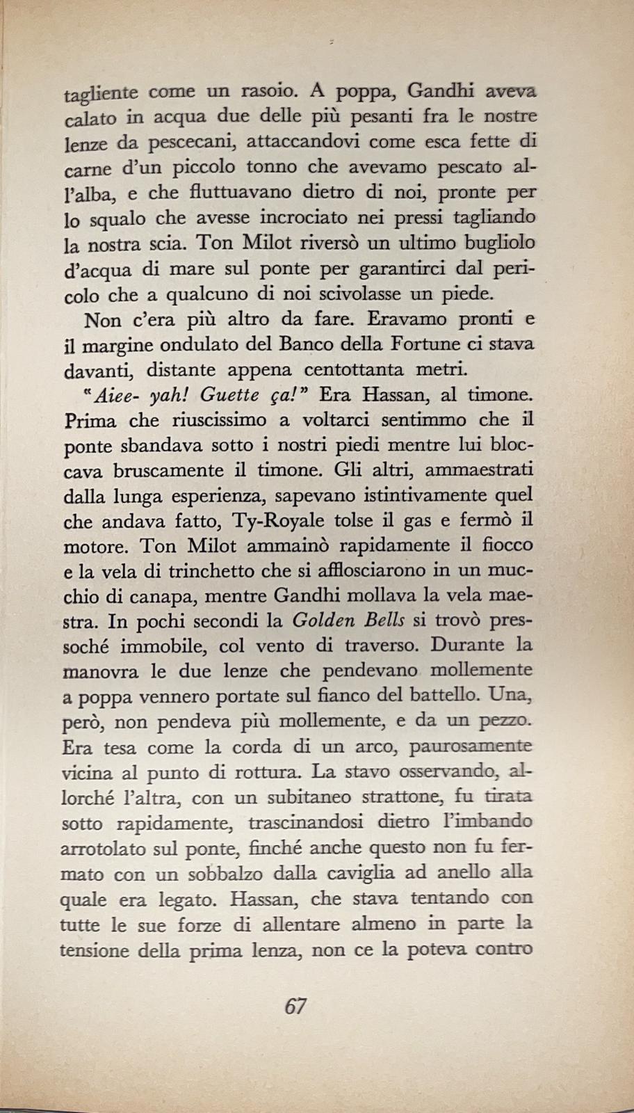 Pescicani da vendere