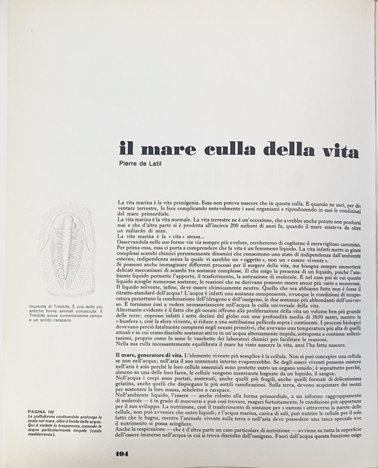 Il grande libro del mare