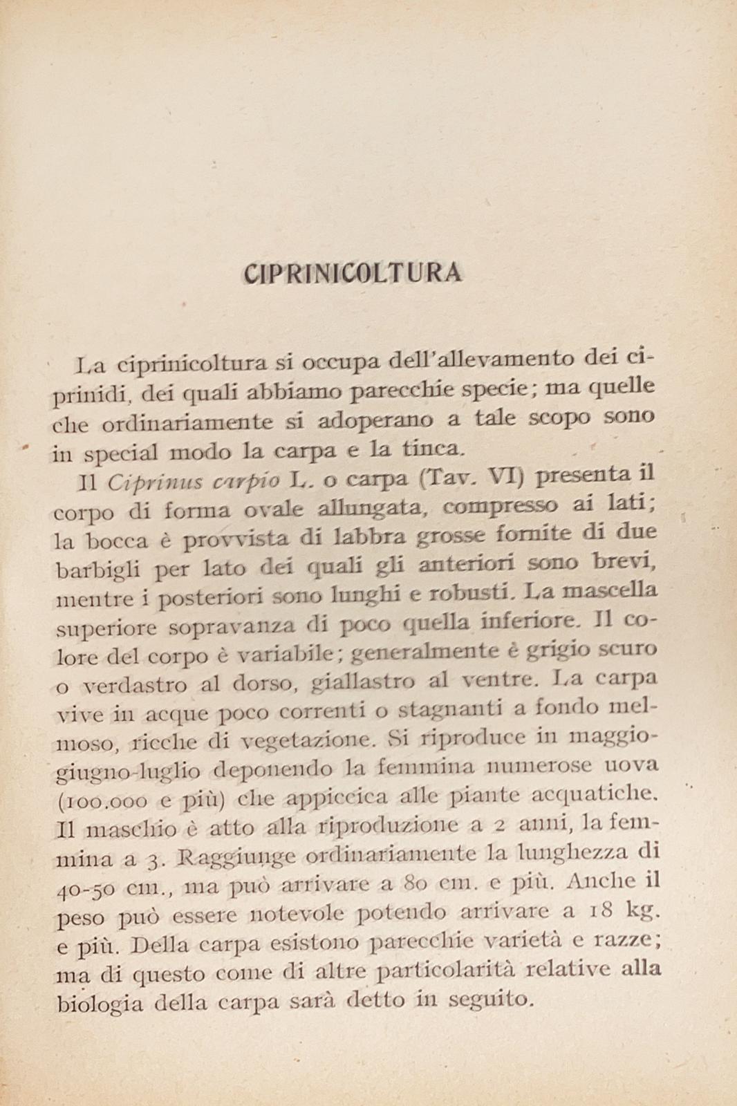 Piscicoltura pratica