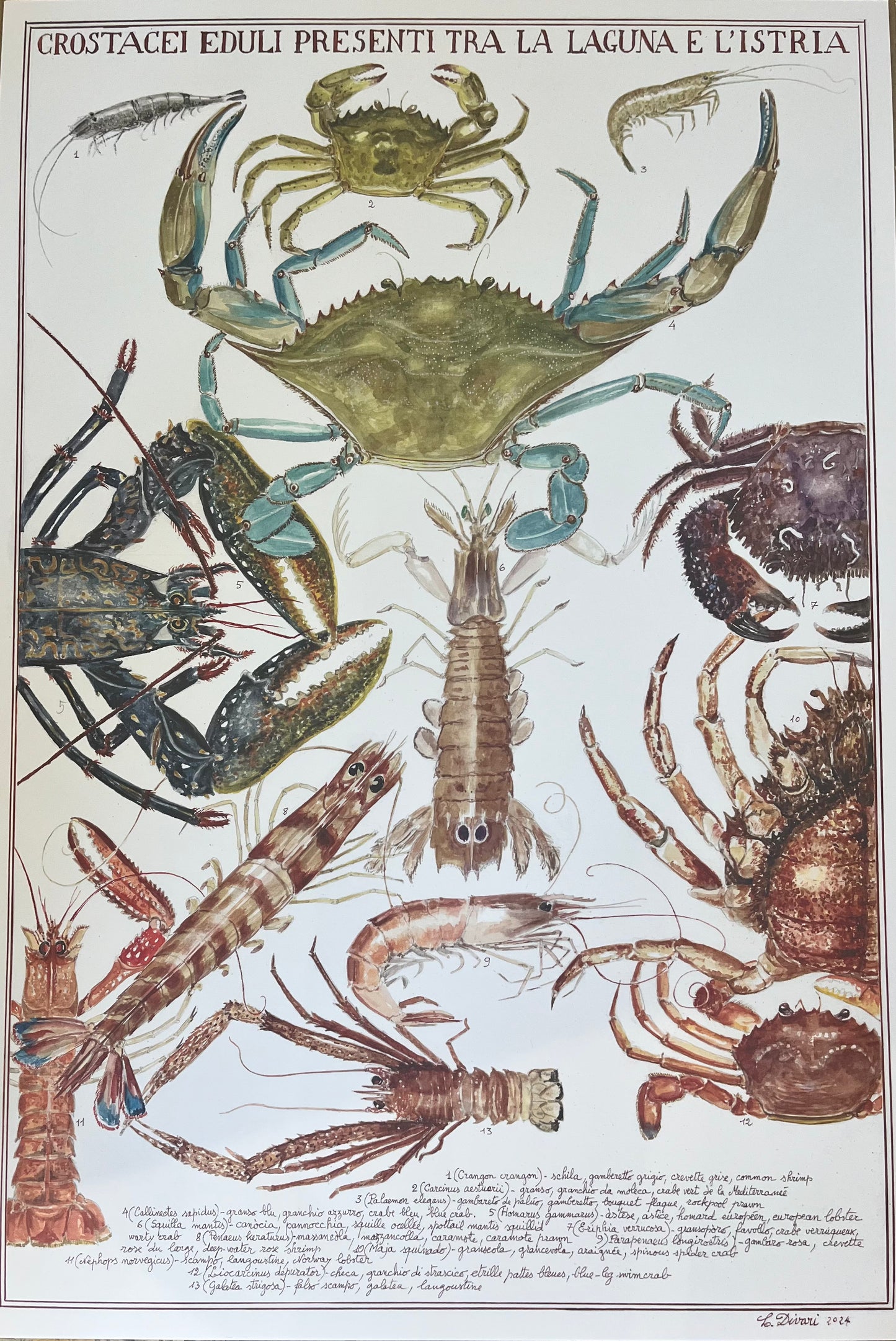 Poster della Laguna di Venezia