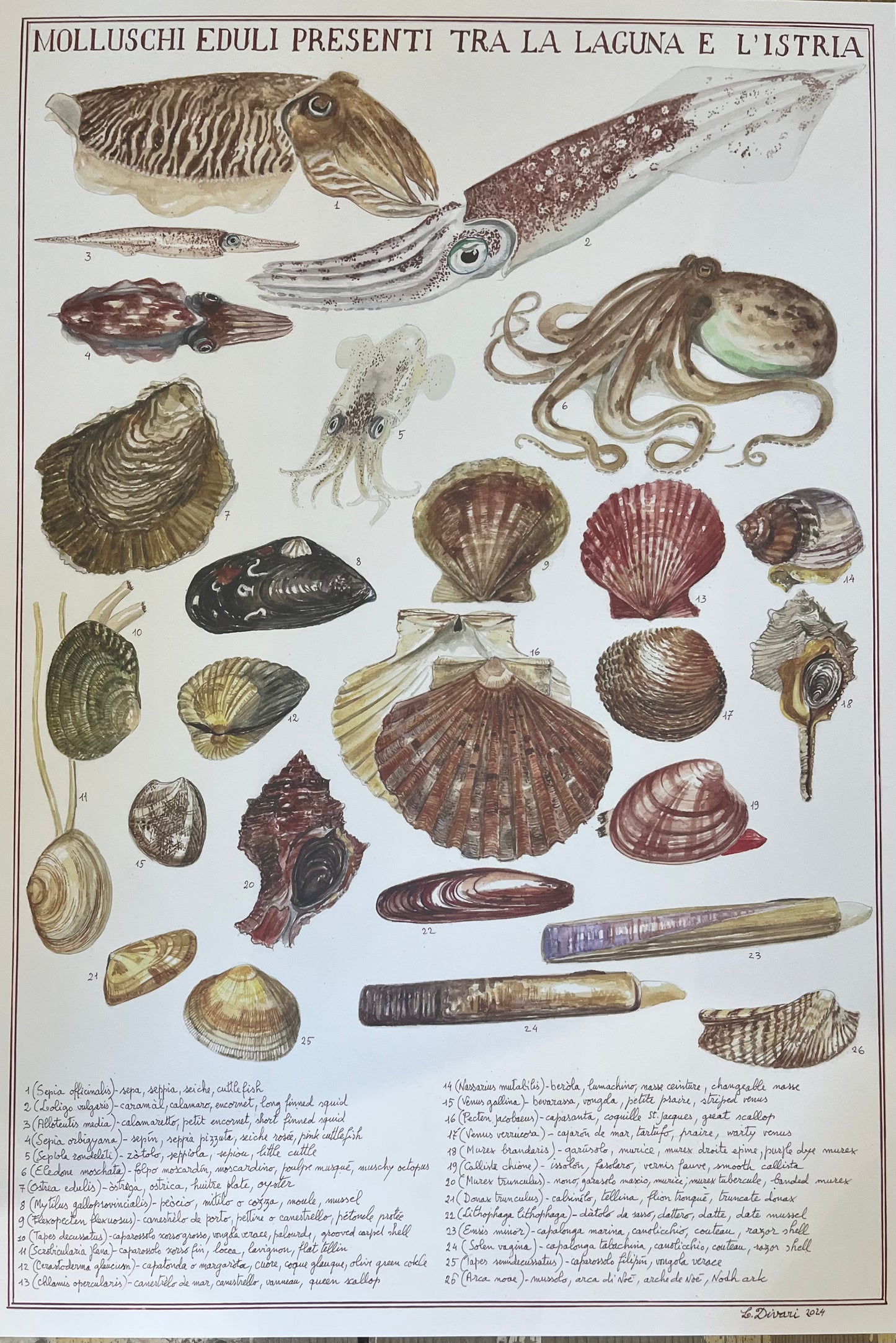 Poster della Laguna di Venezia