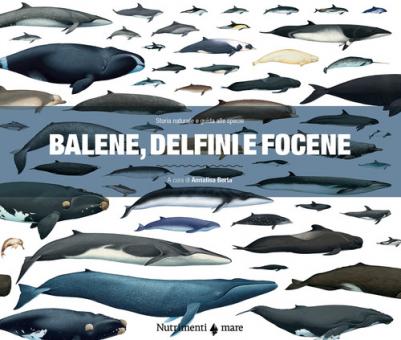 Balene delfini e focene