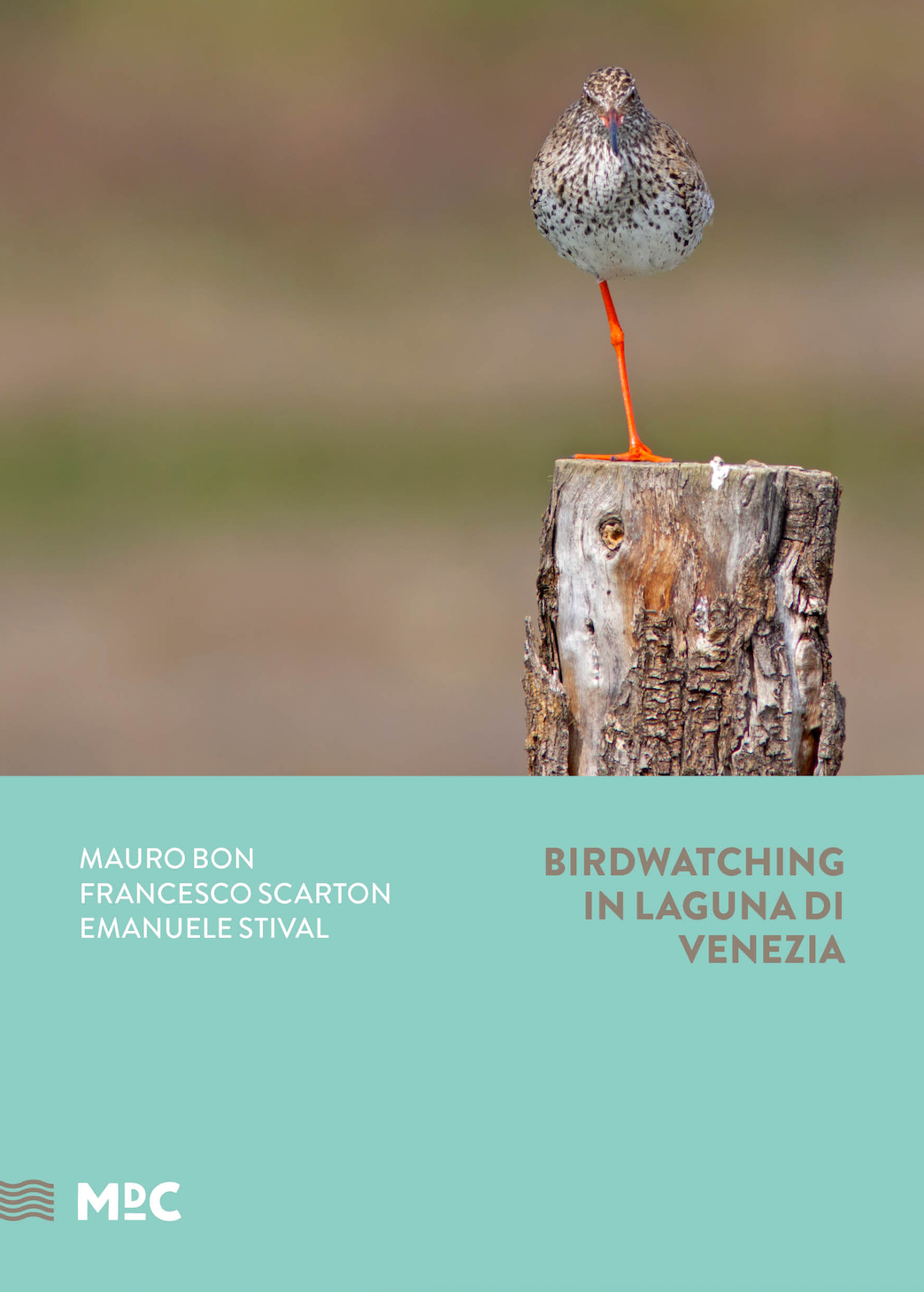 Birdwatching in laguna di venezia