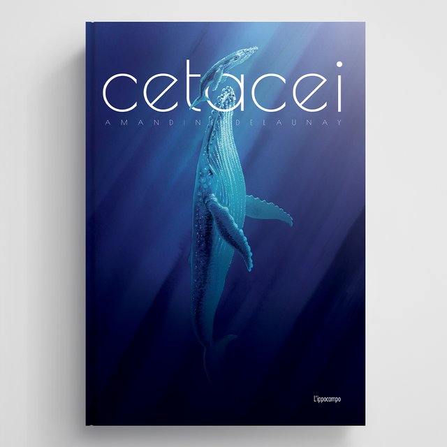 Cetacei