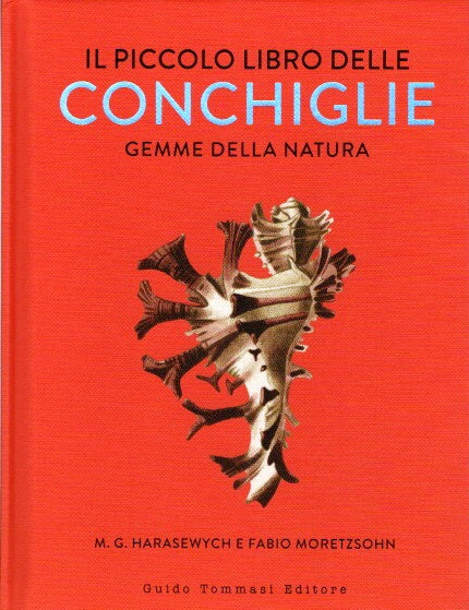 Il piccolo libro delle conchiglie. Gemme della natura