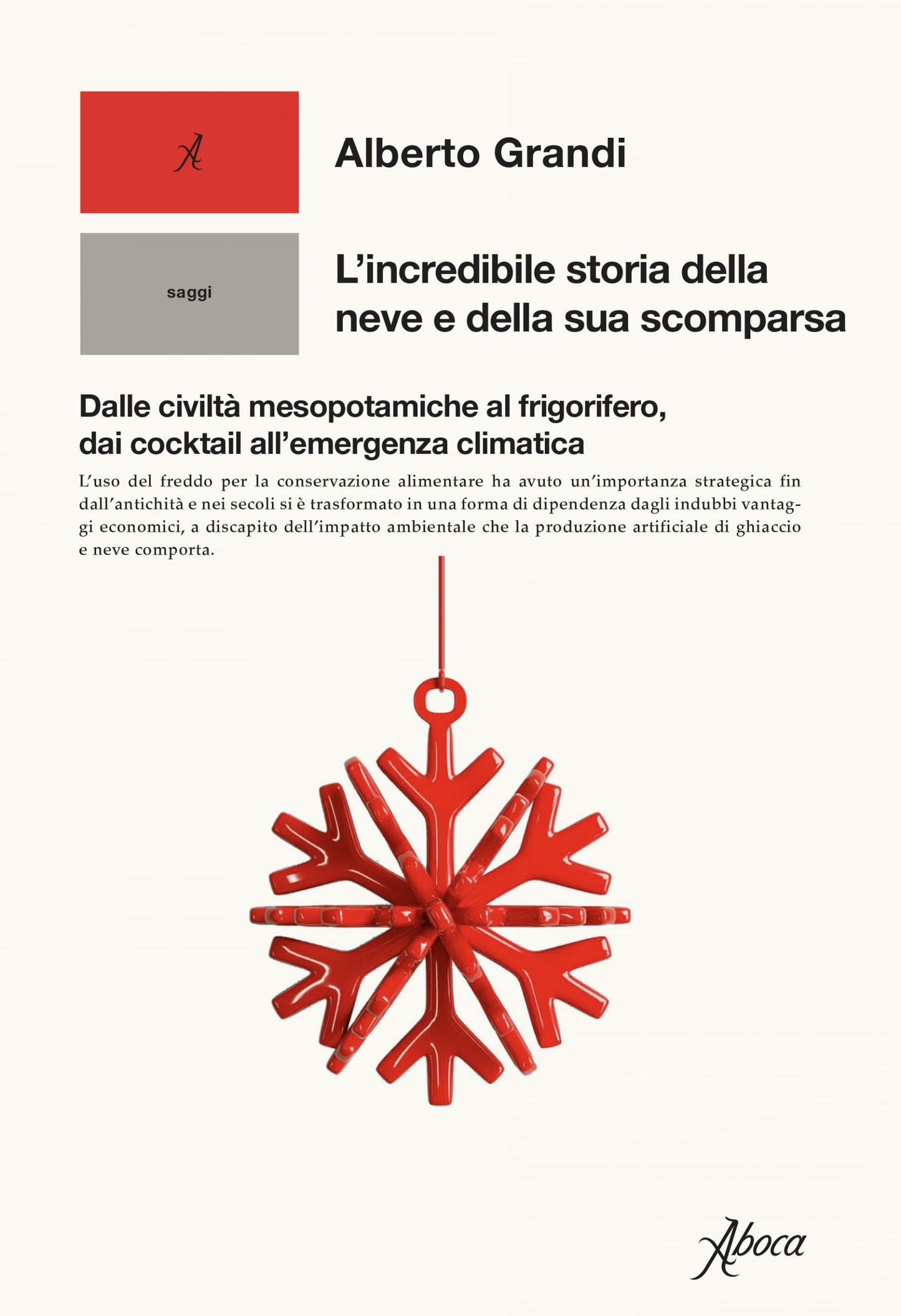 Incredibile storia della neve e della sua scomparsa