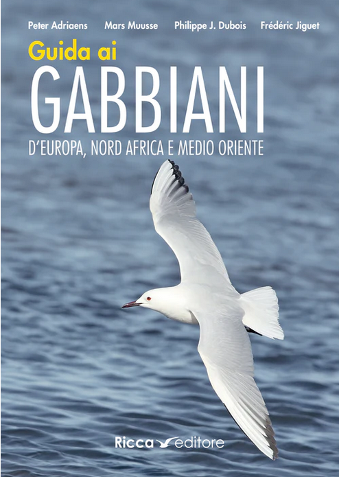 guida ai gabbiani d'europa, nord africa e medio oriente