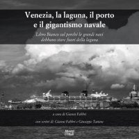 Venezia, la laguna, il porto e il gigantismo navale