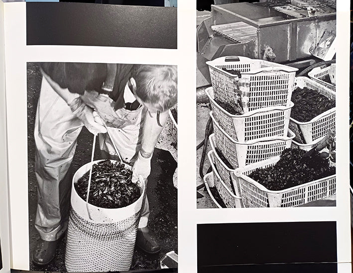 la fabbrica del mare