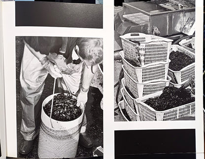 la fabbrica del mare