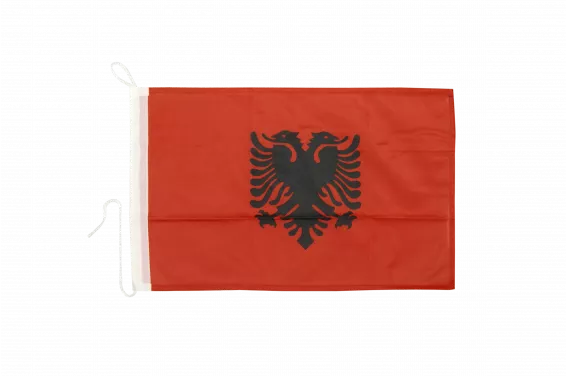 Bandiere di cortesia