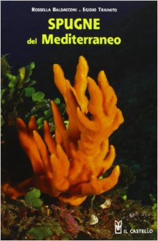 Spugne del Mediterraneo