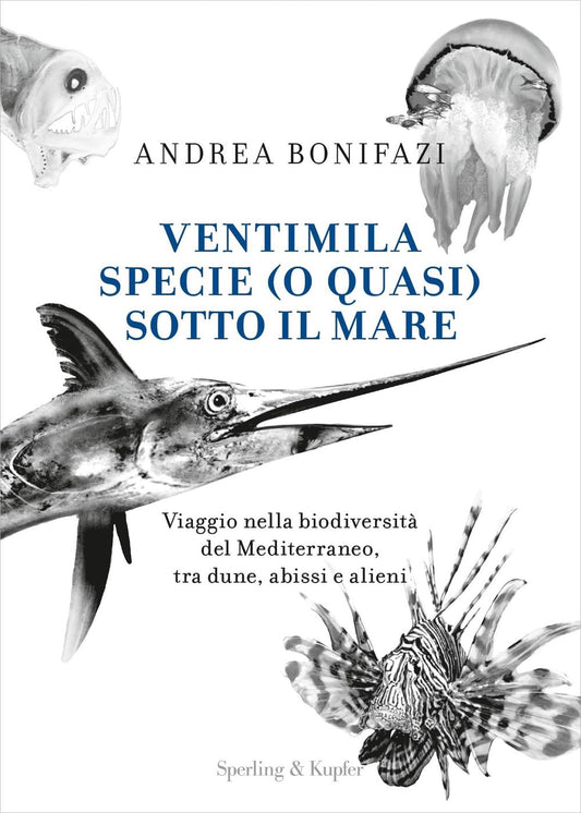 Ventimila specie (o quasi) sotto il mare