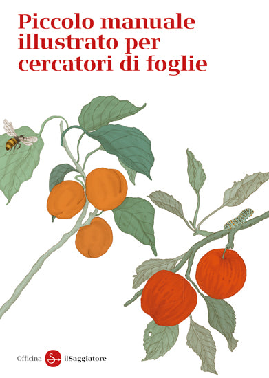 Piccolo manuale illustrato per cercatori di foglie