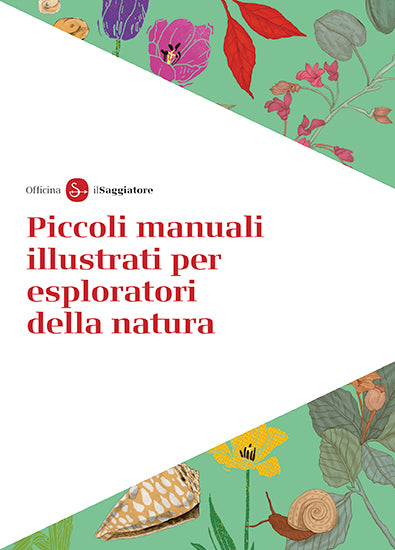 Piccoli manuali illustrati per esploratori della natura