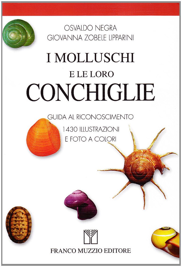 I molluschi e le loro conchiglie