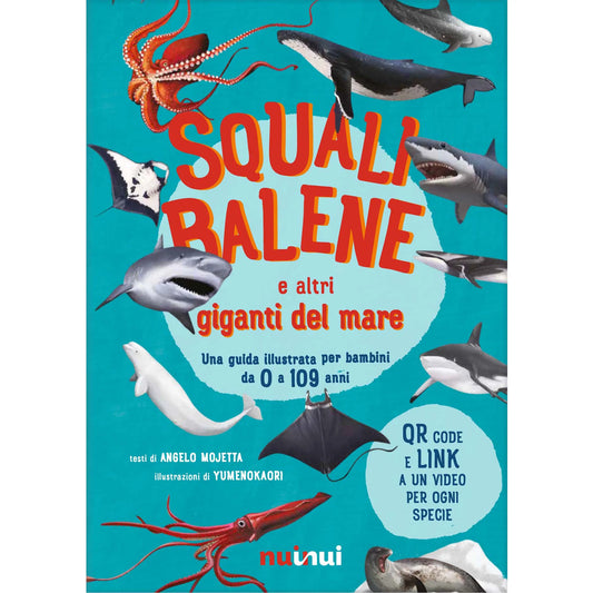 Squali balene e altri giganti del mare