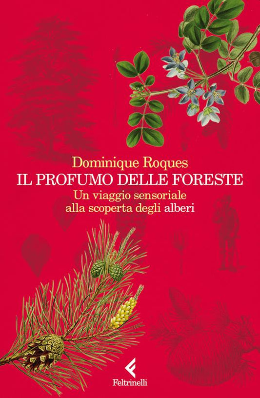 Il profumo delle foreste. Un viaggio sensoriale alla scoperta degli alberi