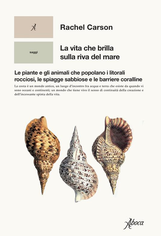 La vita che brilla sulla riva del mare