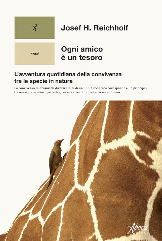 Ogni amico è un tesoro