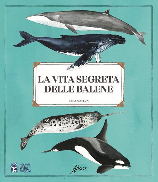 la vita segreta delle balene