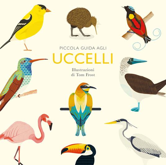 Piccola guida agli uccelli
