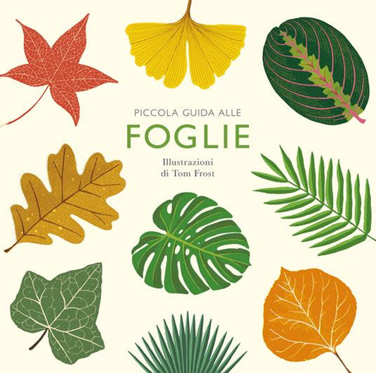 Piccola guida alle foglie