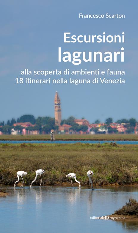 Escursioni lagunari