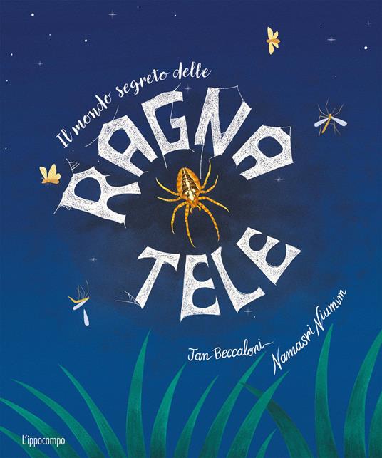 Il mondo segreto delle ragnatele