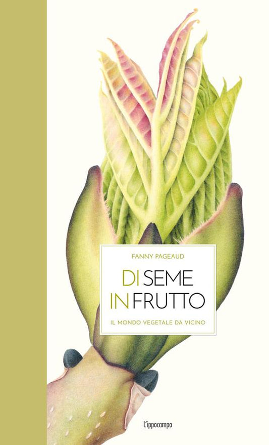 Di seme in frutto