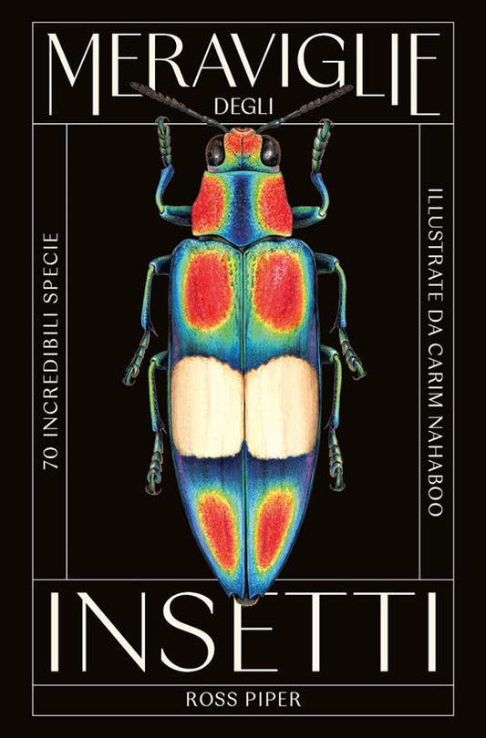 Meraviglie degli insetti