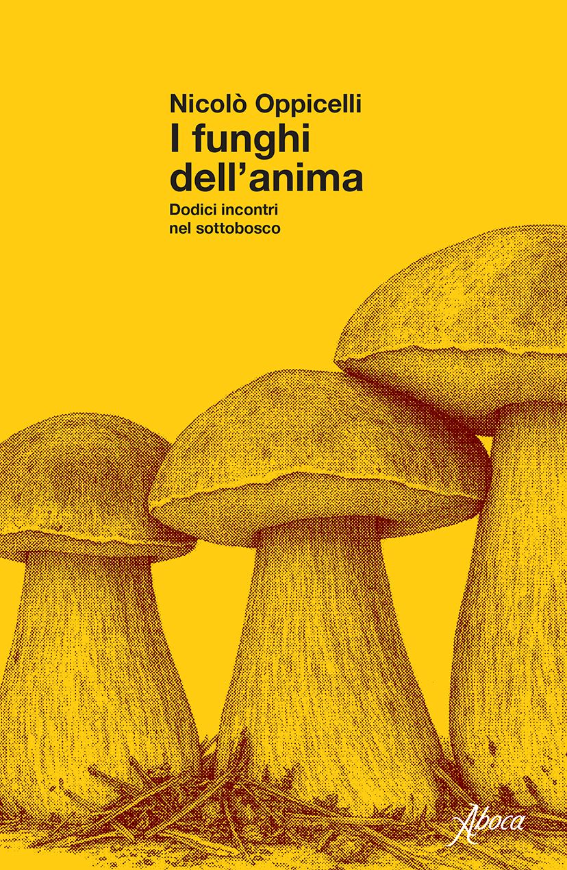 I funghi dell’anima