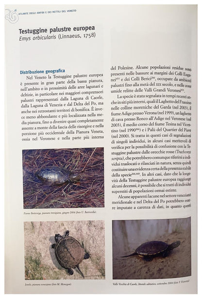 Atlante degli anfibi e dei rettili del Veneto