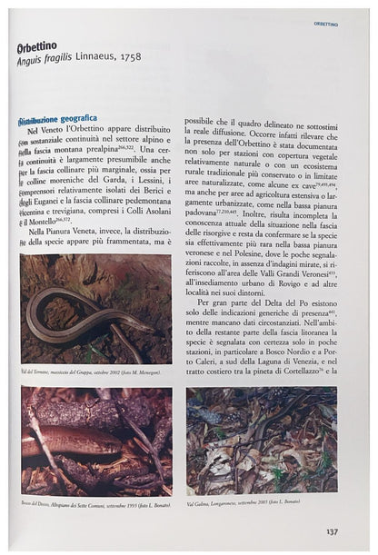 Atlante degli anfibi e dei rettili del Veneto