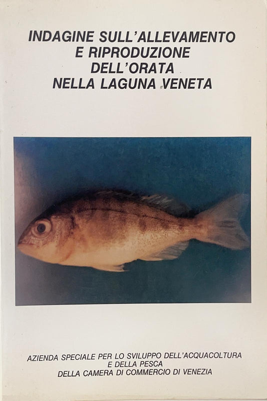 Indagine sull’allevamento e riproduzione dell’orata nella laguna veneta