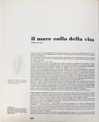 Il grande libro del mare