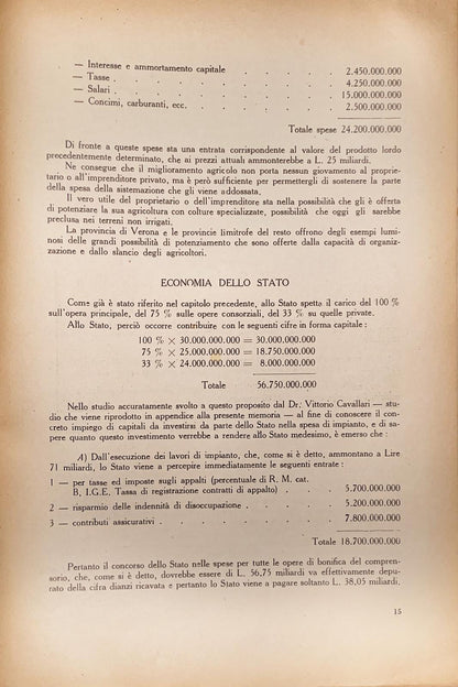 Sistemazione Tartaro-Canal Bianco Po di Levante
