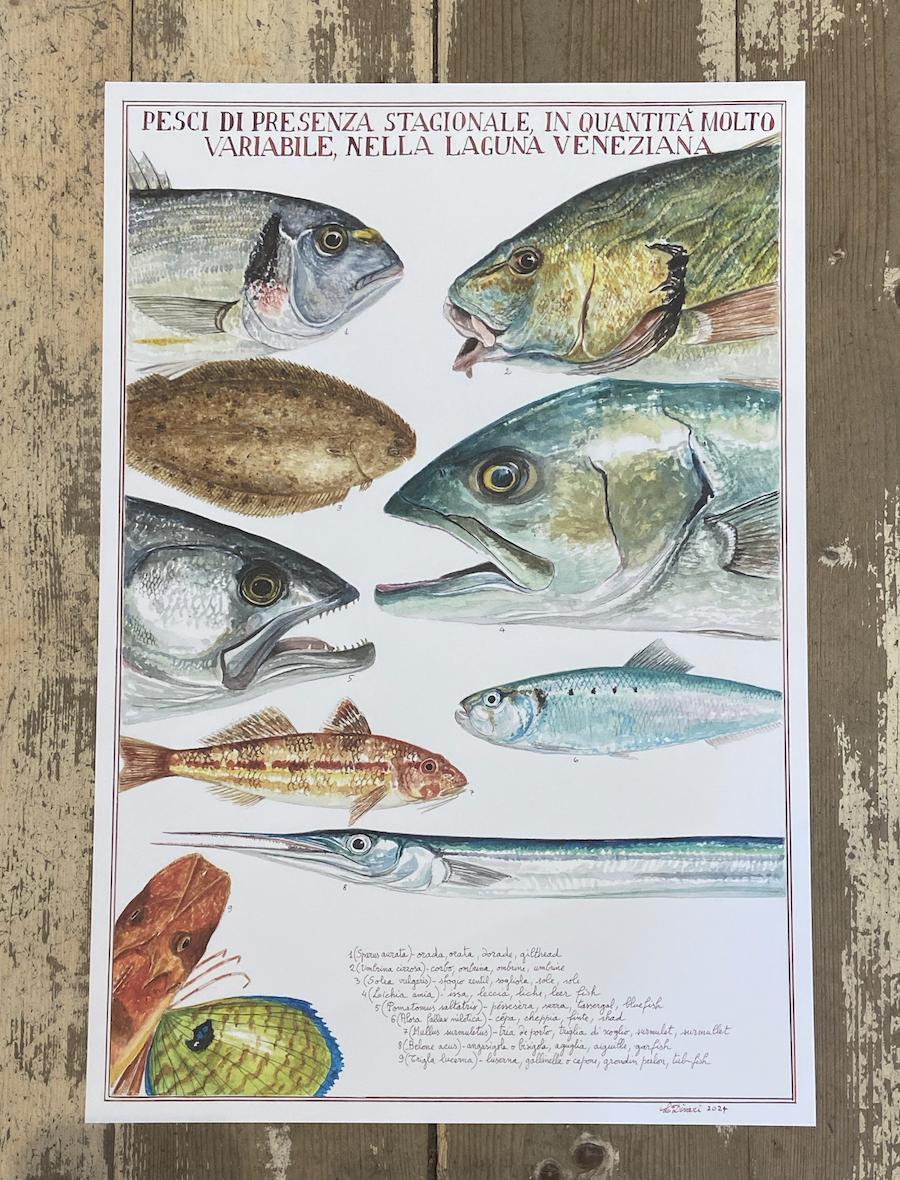 Poster della Laguna di Venezia